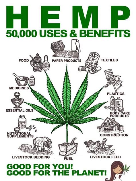 Hemp And Its Uses Infographic