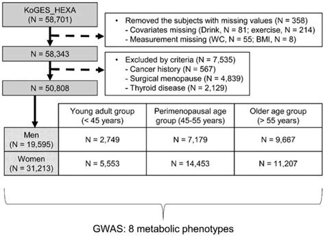ijms free full text lifestage sex specific genetic effects on metabolic disorders in an