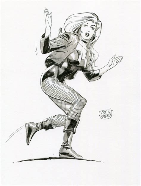 Black Canary By Lee Weeks In Michael Dunnes Black Canary Comic Art