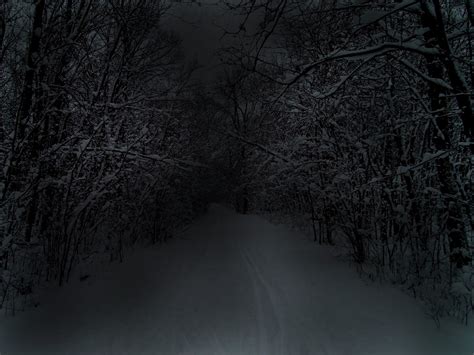 Stopping By Woods On A Snowy Evening Magnum Arts Blog