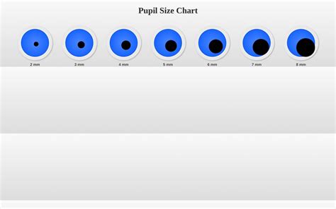 Free Printable Pupil Size Charts Pdf And Actual Size Mm Scale
