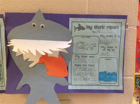 Kindergarten Shark Report With Paper Plate Shark Teeth Little
