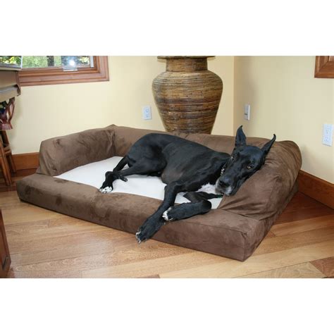 Hidden Valley Baxter Orthopedic Dog Bed And Couch Small To Extra Extra