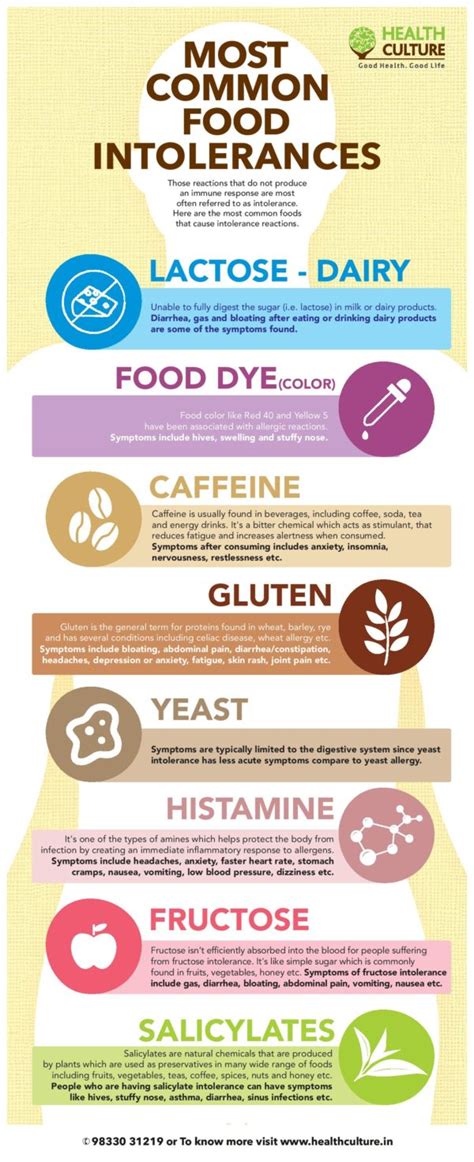 Food Allergy And Food Intolerance Fundamental Differences Types