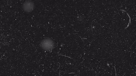 White Dust Particles In Space Stock Motion Graphics Motion Array