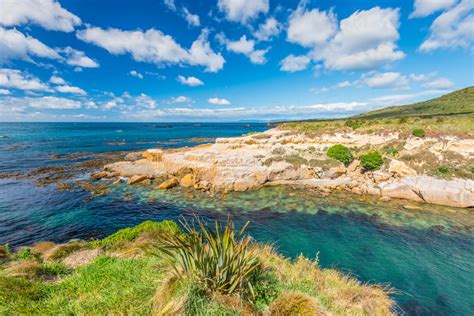 New Zealand Colorful Coast Landscape Stock Image Image