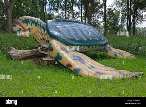 Archelon Archelon Ischyros Largest Known Seaa Turtle Extinct Stock
