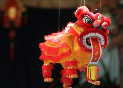 Roar Some Facts About Lion Dance And Dragon Dance Honeycombers