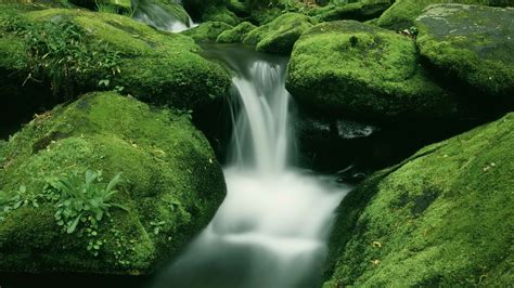 Waterfall Moss Rocks Stones Timelapse Hd Wallpaper Nature And