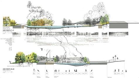 Section Perspective Landscape Plans Landscape Architecture