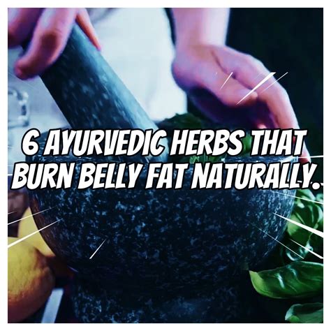 6 Ayurvedic Herbs That Burn Belly Fat Naturally Herb 6 Ayurvedic