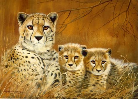 Cheetah Paintings