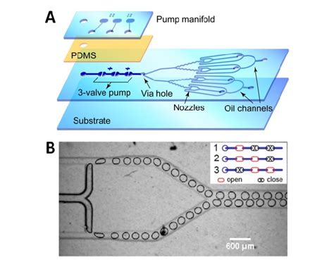 A Exploded View Of A Glasspdmsglass Hybrid 8 Channel Microfluidic