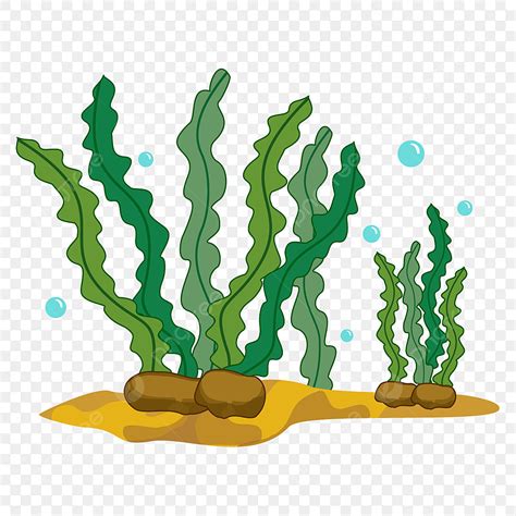 Green Seaweed Clipart Png Images Green Seaweed Clipart Seaweed