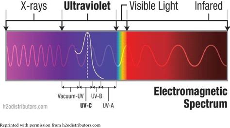 4 Detection And Absorption Of Ultraviolet Light Experiment
