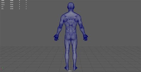 Artstation Anatomically Correct Muscular Male Body Low And High Poly