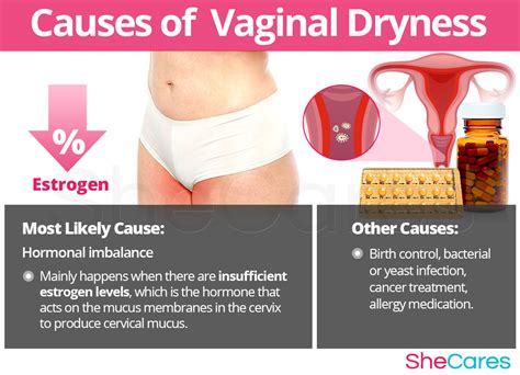 vaginal dryness shecares