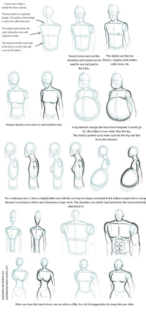 Pin By Kaia Howe On Art Body Shape Drawing Drawing Tips Drawing People