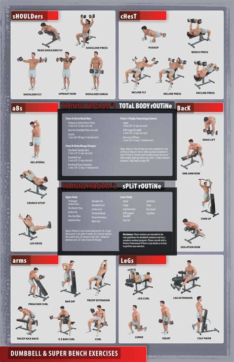 workout poster dumbbell exercise poster laminated free weight strength training chart fitness
