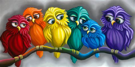 Rainbow Owls