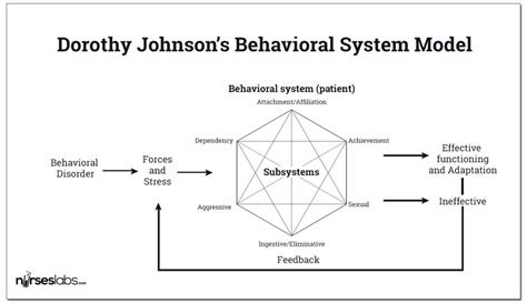 Dorothy E Johnson Behavioral System Model Nurseslabs Nursing Philosophy Nursing Theory