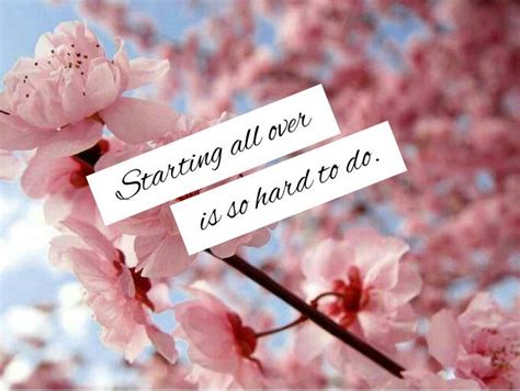 Cherry Blossom Quotes Sayings Quotesgram