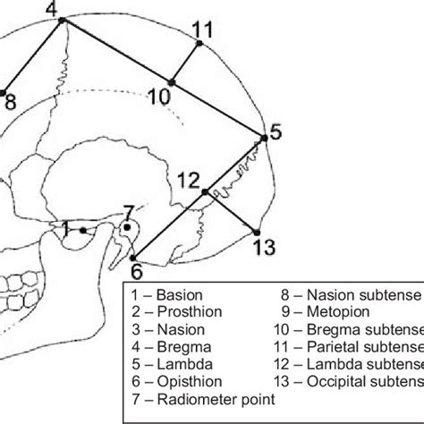 Cranial Landmarks Reconstructed From Traditional Craniometric