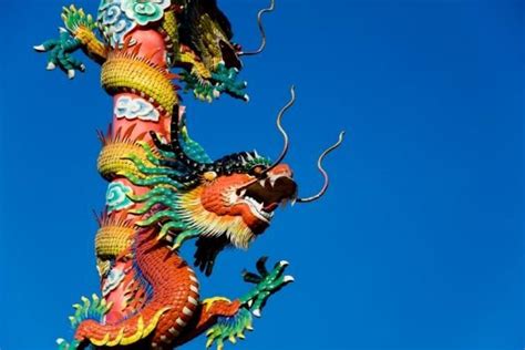 Colorful Dragon Pole Chinese Dragon Symbol Indoor Bamboo Plant