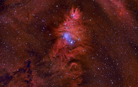 Ngc 2264 And The Fox Fur Nebula Sky And Telescope Sky And Telescope
