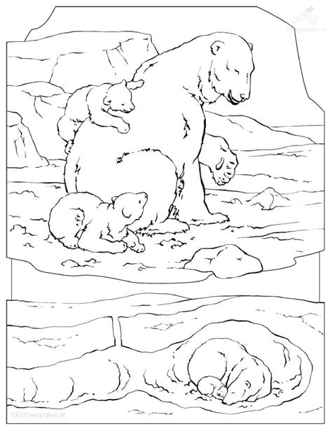 Arctic Habitat Coloring Pages At Getdrawings Free Download