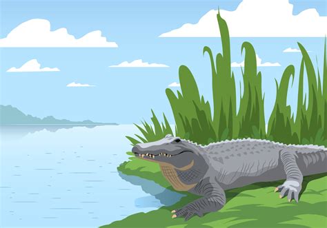 Gator At The Swamp 131497 Vector Art At Vecteezy