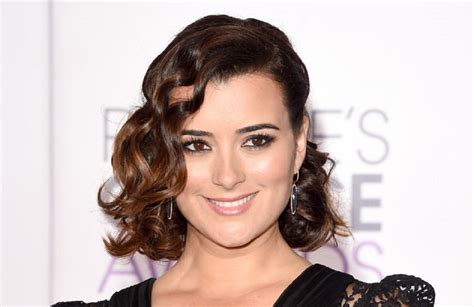 Cote De Pablo Hot Bikini Pictures Expose Her Sexy Body In Swimsuit