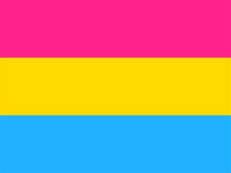 Pansexual Flag 5ft X 3ft High Quality Flags Rainbow Gay Pride Lgbt Trans Gender Ebay