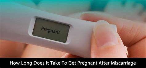 How Long Does It Take To Get Pregnant After Miscarriage