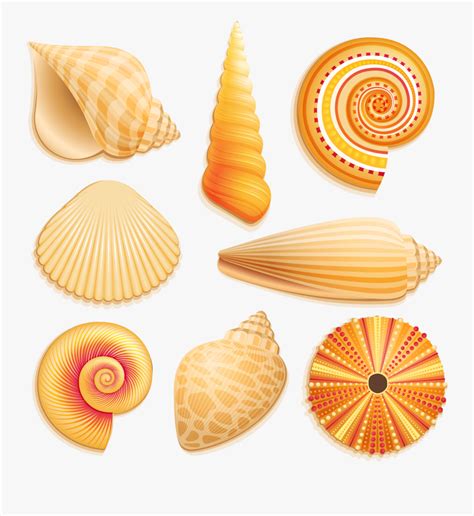Seashells Clipart Underwater Printable Seashells Clip Art Free