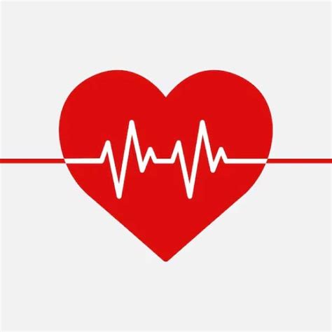 คลื่นไฟฟ้าหัวใจ Ekg คืออะไร บอกอะไรได้บ้าง U Wellness International