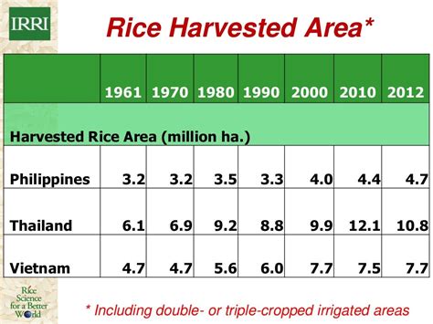 Rice Farming In The Philippines Some Facts And Opportunities