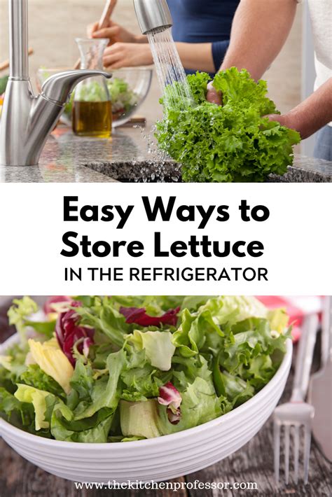 How To Store Lettuce In The Refrigerator Lettuce Storing Lettuce