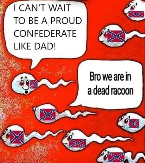 I Can T Wait To Be A Proud Confederate Like Dad Two Sperm Cells Talking Know Your Meme
