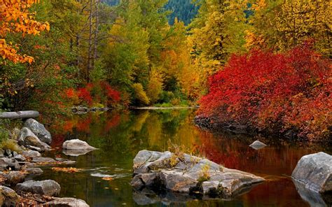 Free Download This Bing Wallpaper Images Autumn And