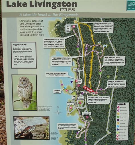 Lake Livingston State Park Map