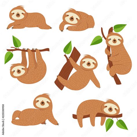 Cute Sloths Cartoon Sloth Hanging On Tree Branch Baby Jungle Animal