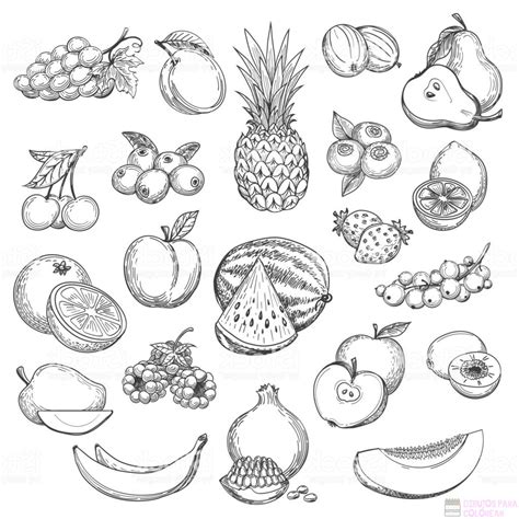 ᐈ Dibujos De Frutas【top 30】un Delicioso Boceto Dibujos Para Colorear