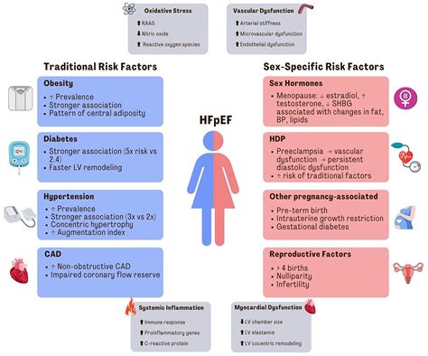 Sex Differences In Heart Failure With Preserved Ejection Fraction From