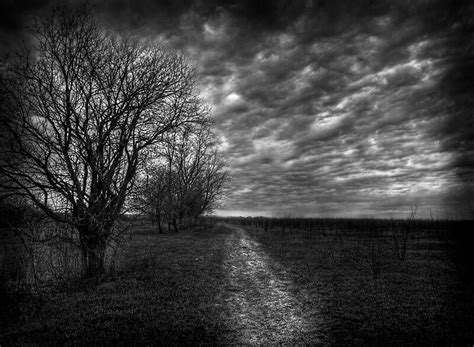 Dark And Dreary Path Posters By Jthill Redbubble
