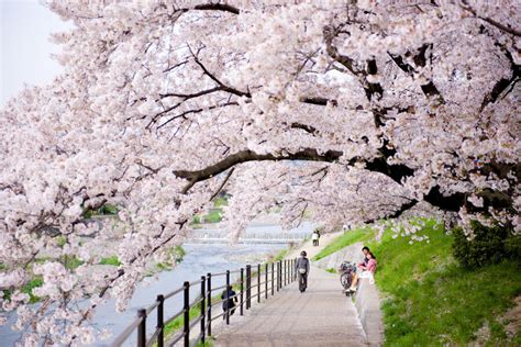 Off The Beaten Path Kanazawa Shirakawago Hiroshima Naoshima Kyoto Hike For 2023 And 2024