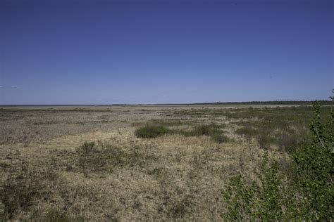 Grassland Landscape With Clear Sky At Hecla Provincial