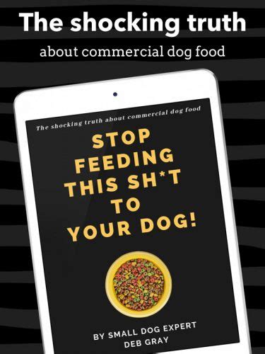 Shocking Truth About Commercial Dog Food About Morkies