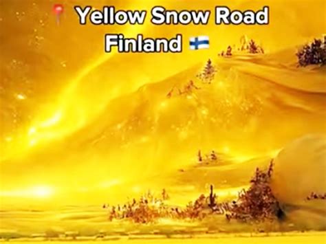 Reality Of Yellow Snow Road In Finland Video Reality