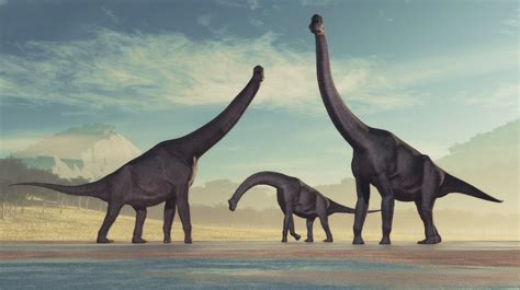 Dibujos de dinosaurio para colorear 67 dibujos de dinosaurio para imprimir y pintar. Increíble: los restos de un dinosaurio hallados en la ...